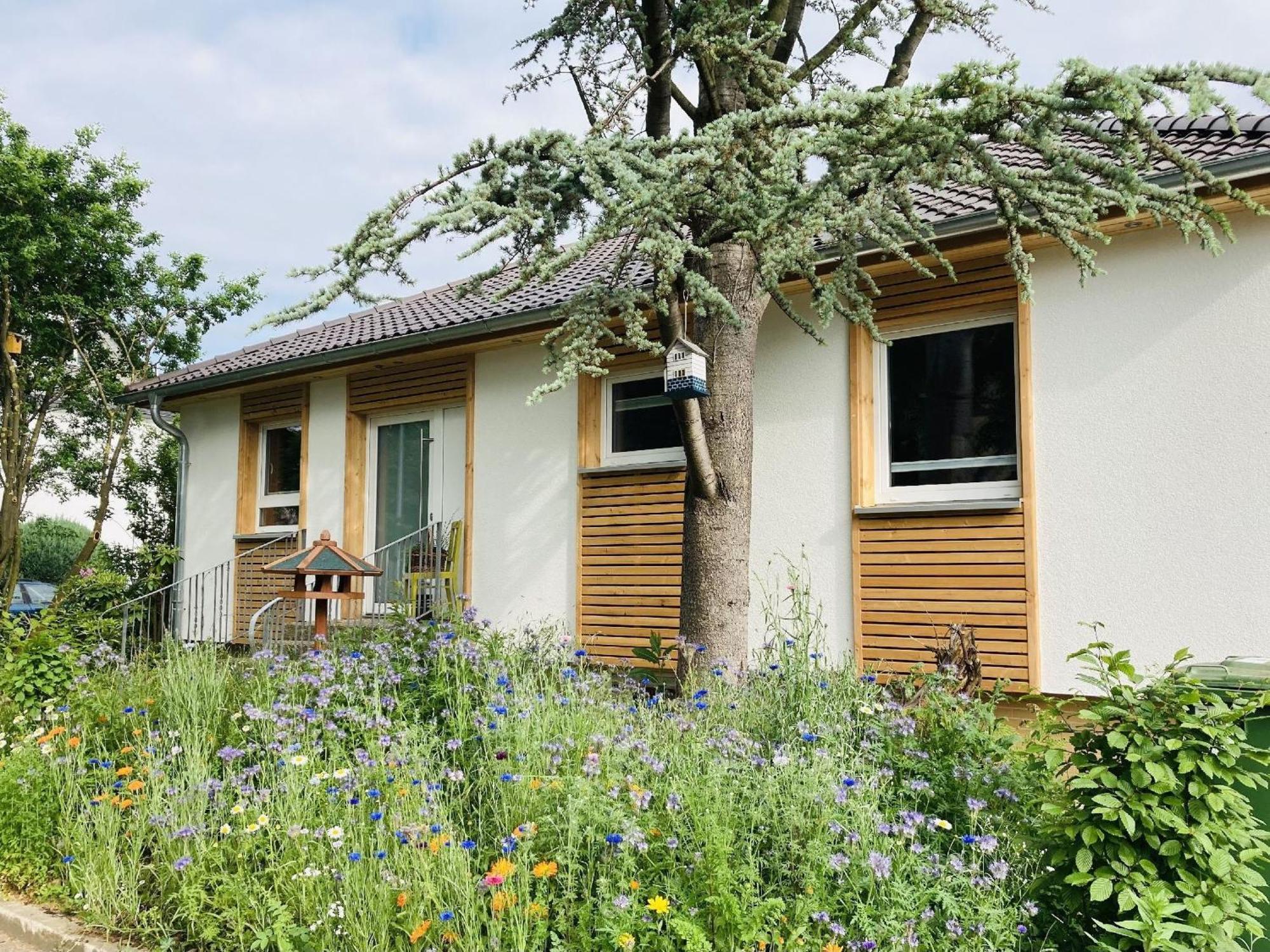 Ferienhaus Urwald ฮอฟไกส์มาร์ ภายนอก รูปภาพ